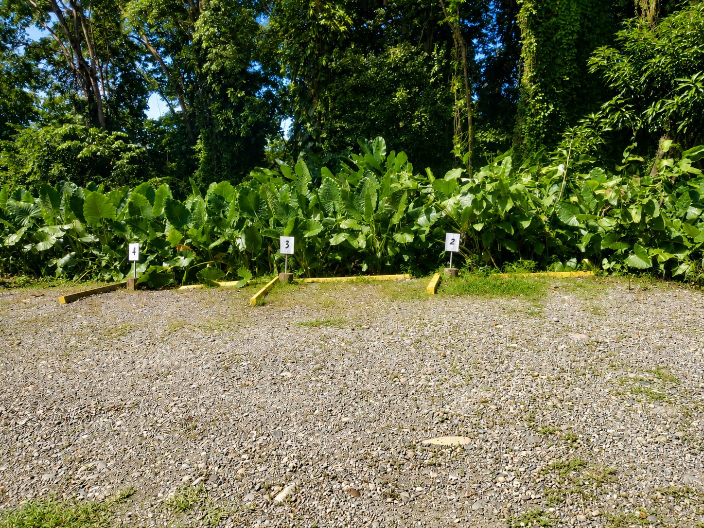 Parqueo